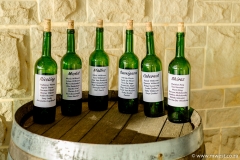 Daleen en Sharron-360