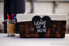 Annette & Paul 4 July 2015-116