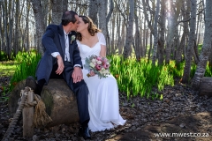 Annette & Paul 4 July 2015-167